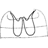 Abdomen, sternal apodemes, ventral view Depicts Abdomen, sternal apodemes, ventral view, an Observation.