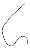 Hebardidora harroweri (Hebard, 1924): Pl. VI, Fig. 5 (after type). female, latero-caudal angle of pronotal side lobe, dorsal outline. (Otu).