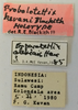 CollectionObject 1520881; 84a8a4e9-e20f-41d8-93f7-7661743aacd9: labels (holotype of Probolotettix kevani). (CollectionObject).