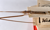 CollectionObject 1558549; a1a2af98-9b7e-4ca1-bd9f-0ee1108f4a32: copyright ZMHB, Berlin. female: head & thorax, dorsal view of synonym Bacunculus tener (holotype). (CollectionObject).
