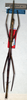 CollectionObject 1558217; NMW 334, d248a660-e266-4e40-8fce-b0c7e6a6a896: copyright NMW, Vienna. female of synonym Clitumnus attingens (holotype). (CollectionObject).