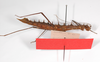 CollectionObject 1560290; 5e5d5267-cb7e-4862-a146-e301633140c8: copyright ZMB, Berlin. female, ventral view (paratype). (CollectionObject).;CollectionObject 1560291; 87646c42-9267-43be-8965-edf15a749cc9: copyright ZMB, Berlin. female, ventral view (paratype). (CollectionObject).;CollectionObject 1560292; 683d12e7-949b-4b50-9136-a19dccf017fc: copyright ZMB, Berlin. female, ventral view (paratype). (CollectionObject).