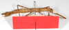 CollectionObject 1562525; 864cec21-e333-47b0-9288-a74e7af8ba85: copyright ZMB, Berlin. female, ventral view (holotype). (CollectionObject).