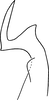 Stylus on Erythridula lucileae (Hepner, 1976): Stylus (holotype). (Observation).