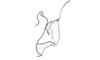 Dendrophilacris machigenga Descamps, 1980: Fig. 143. end of phallic complex, lateral view. (Otu).