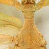 CollectionObject 1591394; 184570da-724c-401a-b5f6-a98109ee7314: copyright IMQC Montreal. male thorax, lateral view (holotype). (CollectionObject).