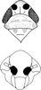 Head on Changwhania terauchii (Matsumura, 1915): Head and thorax (after Kwon, 1980). (Observation).