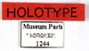 CollectionObject 1587286; MNHN(SF IMPORT DUPLICATE) MNHN-EP-EP1244, 38cf564d-0037-4bc3-8981-ea82a9cf4f63: CC BY-NC-ND 4.0/MNHN - Depraetere Marion - 2014. Holotype, male, of rotunda Grandcolas, 1992. Specimen number: MNHN-EP-EP1244. http://coldb.mnhn.fr/catalognumber/mnhn/ep/ep1244. (CollectionObject).
