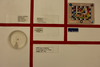 Allocapnia peltoides Ross & Ricker, 1964: Holotype label data. (Otu).