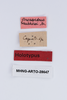 CollectionObject 1505607; b4773f29-a327-4516-94ff-1089d58ff827: female, labels (syntype). (CollectionObject).