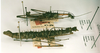 CollectionObject 1560943; 2e423697-8ccf-49f4-a66a-47b859ee302b: copyright RMNH, Leiden. male (holotype), female (paratype), lateral view. (CollectionObject).