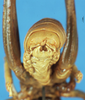 CollectionObject 1507152; 661721a6-f21c-4de9-833c-ac3af0f3dae9: male abdomen tip. (CollectionObject).