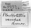 CollectionObject 1533856; 86988fdf-4f69-4ea4-baa7-85a0650a0b69: Image Carbonell, C.S. labels (syntype). (CollectionObject).