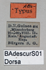 CollectionObject 1575295; 1ad02064-6d14-4e53-8a53-aff1fe798861: female, labels (allotype). (CollectionObject).