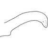 Pygofer appendages: !! display not done !! on Iassus lanio (Linnaeus, 1761): Pygofer appendages. (Observation).
