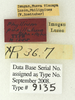 CollectionObject 1561225; 26a2b213-b116-4406-9dd7-a8a0fa79c27d: copyright ANSP. female, data labels (holotype). (CollectionObject).