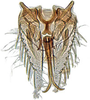 Subgenital plate: Macrosteles quadrilineatus, connective, stylus, aedeagus, subgenital plates and valve, ventrally (INHS). (Observation).