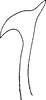 Pygofer appendages on Cicadulina (Cicadulina) bipunctata (Melichar, 1904): (Observation).