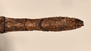 CollectionObject 1559873; d194b348-a9c4-422d-bd8a-3074012801cd: copyright UMO. female: end of abdomen, dorsal view (holotype). (CollectionObject).