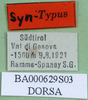CollectionObject 1502014; 3188bf62-f140-4c15-94c6-5e7881375894, DORSA BA00629S03: labels (syntype). (CollectionObject).