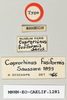 CollectionObject 1540607; 1565bf4c-fb6c-4f8e-9a08-dfddf9e30266: labels (holotype). (CollectionObject).