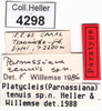 CollectionObject 1536698; 7ae8386f-1c05-46e7-b990-30e95423b144: labels (paratype). (CollectionObject).
