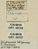 labels. Depicts CollectionObject 1544468; 10fb21d2-b7c6-4a46-91f0-21a75f48eb88, a CollectionObject.