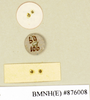 CollectionObject 1552816; NHMUK(SF IMPORT DUPLICATE) BMNH(E) 876008, cade08ed-7c8e-4240-86e8-6cdcf2d173dc: Copyright Natural History Museum, London. Labels from holotype (adult female) in BM(NH). (CollectionObject).
