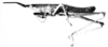CollectionObject 1518473; 21914e80-6c69-4df8-89ae-5948768fc6c8: Fig. 8 B. male, lateral view (holotype) (body length 20 mm, pronotum 4 mm, tegmen 3.7 mm, hind femur 11.2 mm). (CollectionObject).