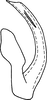 Aedeagus, lateral view: Aedeagus, lateral view (I. marginalis Vilbaste, 1968). (Observation).