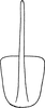 Aedeagus, ventral view: Aedeagus, caudal view. (Observation).