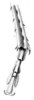Corycoides jurinei (Saussure, 1862): Pl. XXX, Fig. 1 A. left hind tarsus and end of tibia (male). (Otu).
