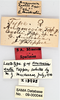 CollectionObject 1863291; a743706e-c1b1-4c78-ace1-0e98fe97f53b: (CollectionObject).
