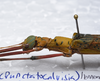 CollectionObject 1576105; c7efa36e-a072-4225-86ac-ff1507e64a84: copyright FRCS, Sabah. female: head & thorax, lateral view (holotype). (CollectionObject).