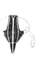 Head: !! display not done !! on Sogatella furcifera (Horváth, 1899): Face. (Observation).