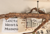 CollectionObject 1559394; OUM 570, 71cc763d-1ec3-4655-ab3c-93de77fc595c: copyright OUMNH. female: head & thorax, lateral view of Lonchodes amaurops (lectotype). (CollectionObject).