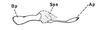 Atopotettix megalocephalus Brown, 1970: Fig. 46. male, endophallus, lateral aspect. (Otu).