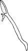 Aedeagus, lateral view on Empoasca (Empoasca) cirsia Cunningham & Ross, 1965: Aedeagus, lateral view. (Observation).