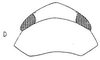 Head: !! display not done !! on Acinopterus acuminatus Van Duzee, 1892: head, dorsally. (Observation).