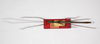 CollectionObject 1560329; 7412d082-8c1c-4afb-ba64-5cb5dc893dab: copyright ZMHB, Berlin. male, dorsal view of synonym Nescicroa rammei (holotype). (CollectionObject).