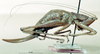 CollectionObject 1506719; 8374416d-c355-4d75-b2d0-9c30c6c49a30: female habitus lateral view (holotype). (CollectionObject).