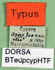 CollectionObject 1500460; b4f104a2-e02d-48af-9fe9-25a429e65707: labels (holotype). (CollectionObject).