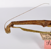 copyright ZMHB, Berlin. female: head & thorax, lateral view of Clitumnus coronatus (lectotype). Depicts CollectionObject 1560873; d713a8fd-4b49-4d75-8486-93297231ba65, a CollectionObject.