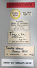 CollectionObject 1573935; 0493db2d-b0a2-425e-a051-cc361b95d106: labels (paratype of Tanita obesa). (CollectionObject).