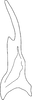 Stylus: !! display not done !! on Chlorotettix meriscus Cwikla, 1987: Stylus. (Observation).