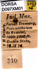CollectionObject 1505094; 72783f1b-ccc0-4407-8381-194d44257f55: labels. (CollectionObject).