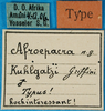 CollectionObject 1500136; 1061f6f8-83cf-48dd-a6c1-095493f7d148: labels. (CollectionObject).