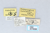 CollectionObject 2765674; CNCI 311930, 0df154a8-80b8-4fc9-83f4-b2945decf4eb: Melanoplus kennicottii. (CollectionObject).