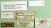 CollectionObject 1501431; a1dae85d-b63a-4564-b9ae-66d0ba7ef373: labels (holotype). (CollectionObject).