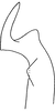Stylus on Erythridula scytha (Auten & Johnson, 1936): Stylus (holotype). (Observation).